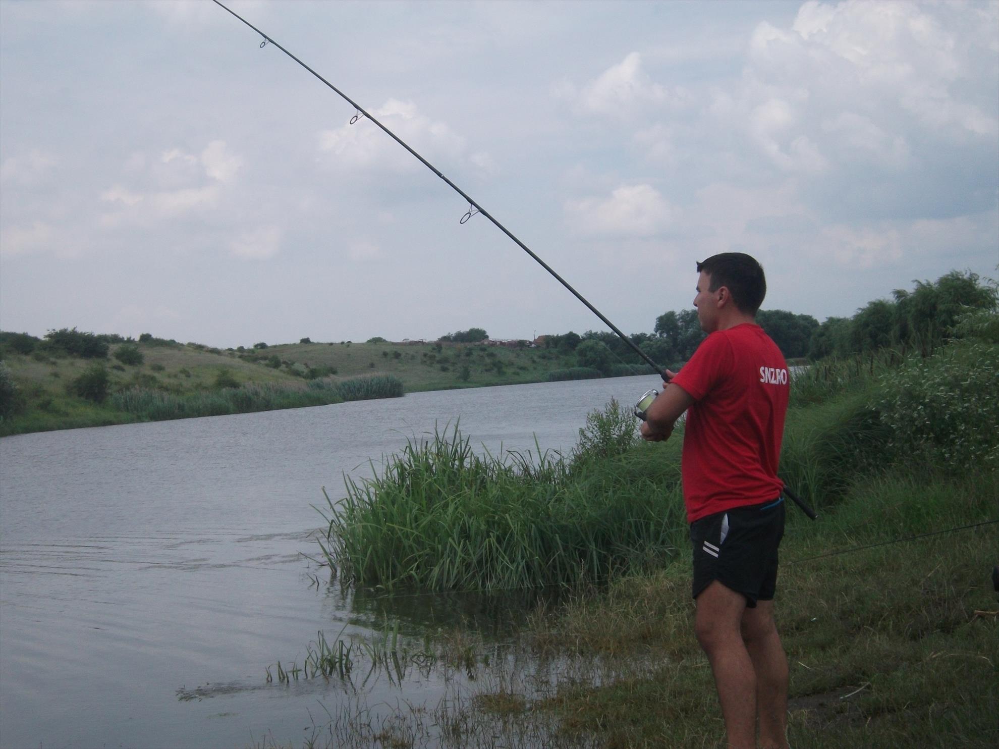 Walter - dscf0596.jpg